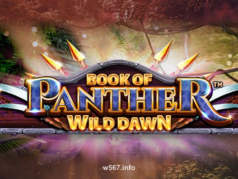 Book Of Panther - Wild Dawn Slot Game - w567 game