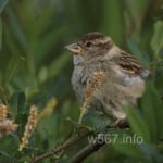 Avatar of Nadeem Shah